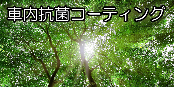 車内抗菌コーティング